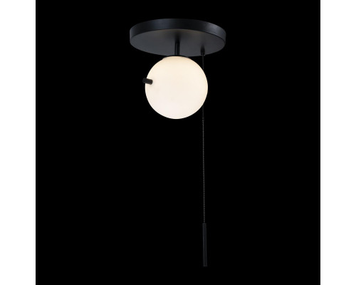 Купить Накладной светильник LOFT IT 10029C Black| VIVID-LIGHT.RU