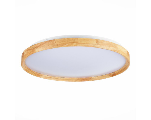 Заказать Накладной светильник Evoluce SLE201382-01| VIVID-LIGHT.RU