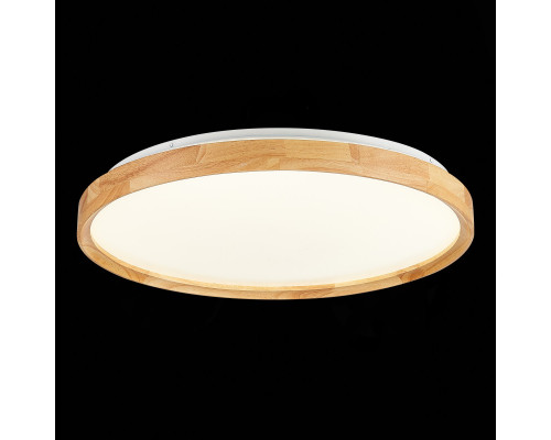 Заказать Накладной светильник Evoluce SLE201382-01| VIVID-LIGHT.RU