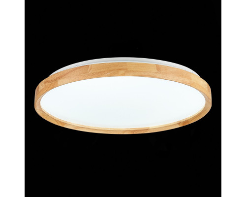 Заказать Накладной светильник Evoluce SLE201382-01| VIVID-LIGHT.RU