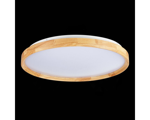 Заказать Накладной светильник Evoluce SLE201382-01| VIVID-LIGHT.RU