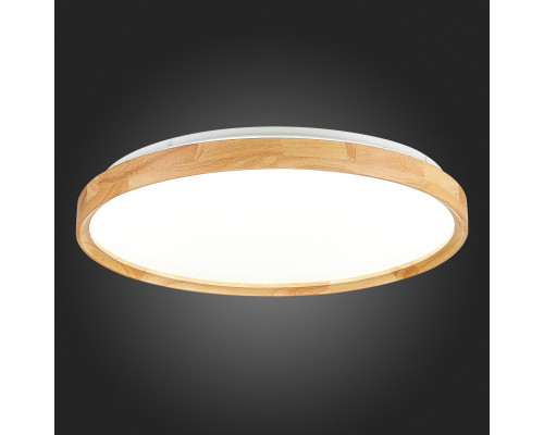 Заказать Накладной светильник Evoluce SLE201382-01| VIVID-LIGHT.RU