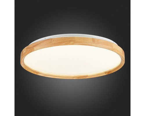 Заказать Накладной светильник Evoluce SLE201382-01| VIVID-LIGHT.RU