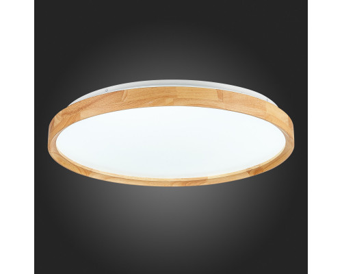 Заказать Накладной светильник Evoluce SLE201382-01| VIVID-LIGHT.RU