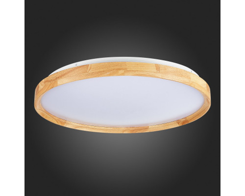 Заказать Накладной светильник Evoluce SLE201382-01| VIVID-LIGHT.RU