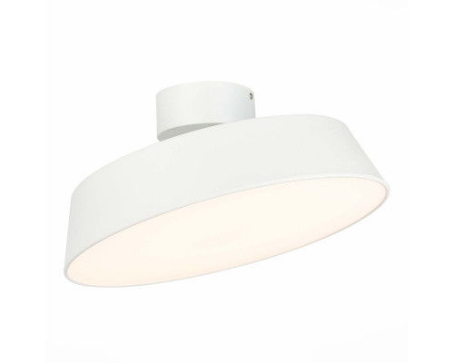 Сделать заказ Накладной светильник Evoluce SLE600252-01| VIVID-LIGHT.RU