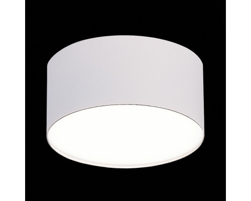 Сделать заказ Накладной светильник ST-Luce ST606.542.12| VIVID-LIGHT.RU