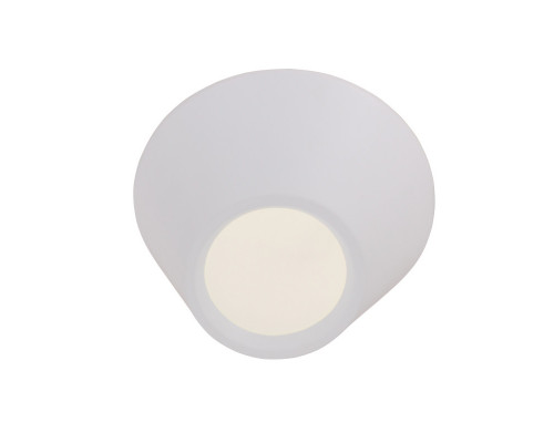 Сделать заказ Накладной светильник ST-Luce SL956.052.01D| VIVID-LIGHT.RU