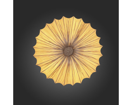 Сделать заказ Накладной светильник ST-Luce SL351.072.05| VIVID-LIGHT.RU