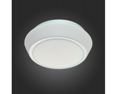 Сделать заказ Накладной светильник ST-Luce SL496.502.01| VIVID-LIGHT.RU