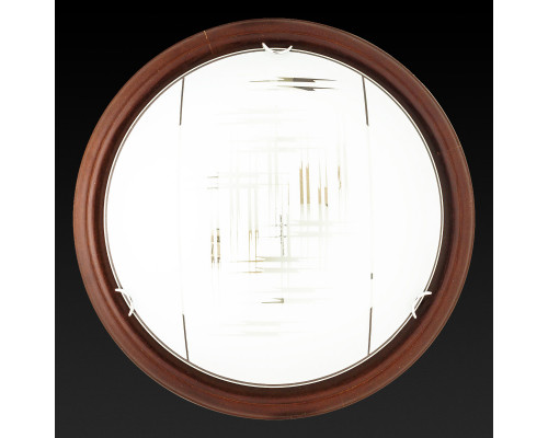 Оформить заказ Накладной светильник TOPLIGHT TL9153Y-02PO| VIVID-LIGHT.RU