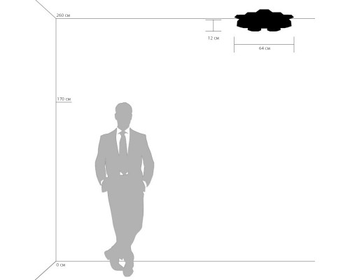 Купить Накладной светильник Lightstar 750163| VIVID-LIGHT.RU