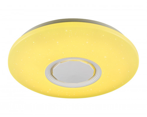 Сделать заказ Накладной светильник Ambrella Light FF201| VIVID-LIGHT.RU