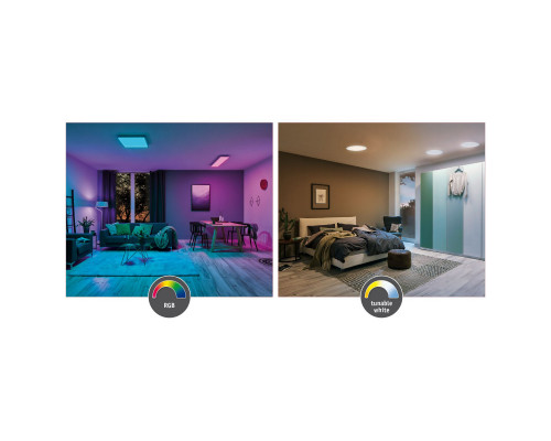 Сделать заказ Накладной светильник Paulmann 79806| VIVID-LIGHT.RU