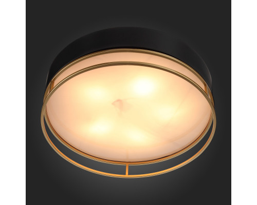 Заказать Накладной светильник ST-Luce SL1127.432.05| VIVID-LIGHT.RU