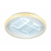 Оформить заказ Накладной светильник Ambrella Light FA600| VIVID-LIGHT.RU