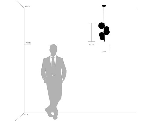 Сделать заказ Накладной светильник Lightstar 815053| VIVID-LIGHT.RU