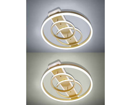 Заказать Накладной светильник Natali Kovaltseva LED LAMPS 81302| VIVID-LIGHT.RU