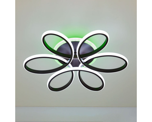 Оформить заказ Накладной светильник Citilux CL233A170E| VIVID-LIGHT.RU