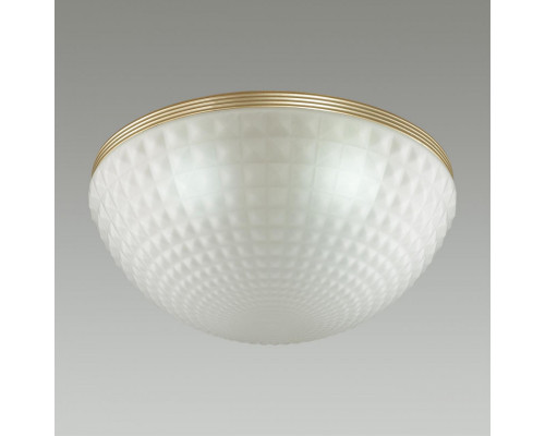 Сделать заказ Накладной светильник Odeon Light 4936/4C| VIVID-LIGHT.RU