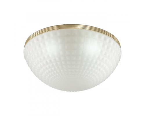 Сделать заказ Накладной светильник Odeon Light 4936/4C| VIVID-LIGHT.RU