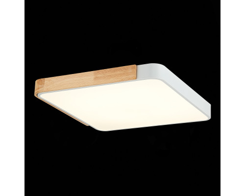 Купить Накладной светильник Evoluce SLE201252-01| VIVID-LIGHT.RU