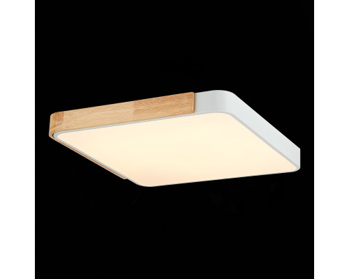 Купить Накладной светильник Evoluce SLE201252-01| VIVID-LIGHT.RU