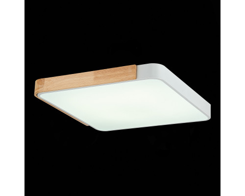 Купить Накладной светильник Evoluce SLE201252-01| VIVID-LIGHT.RU