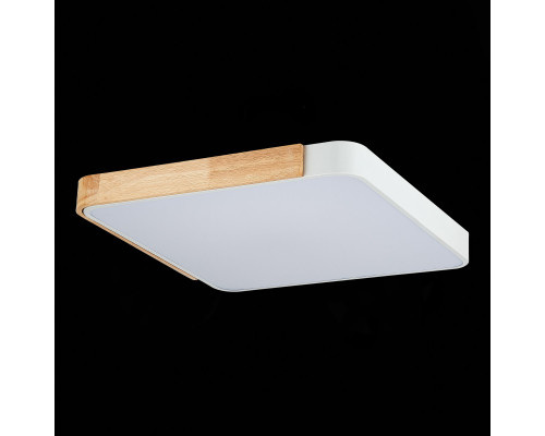 Купить Накладной светильник Evoluce SLE201252-01| VIVID-LIGHT.RU