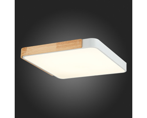 Купить Накладной светильник Evoluce SLE201252-01| VIVID-LIGHT.RU