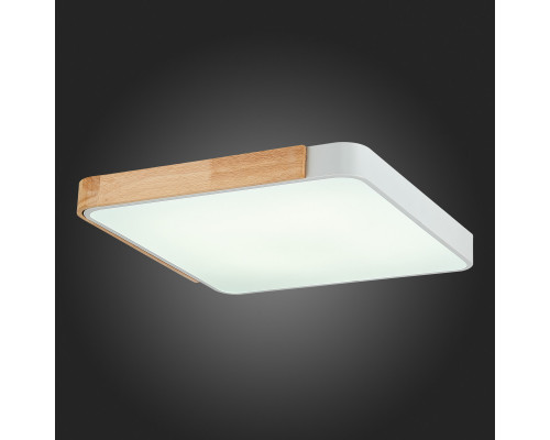 Купить Накладной светильник Evoluce SLE201252-01| VIVID-LIGHT.RU