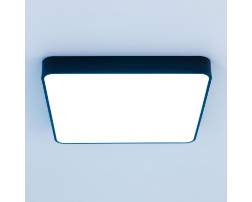 Сделать заказ Накладной светильник Citilux CL724K95G1| VIVID-LIGHT.RU