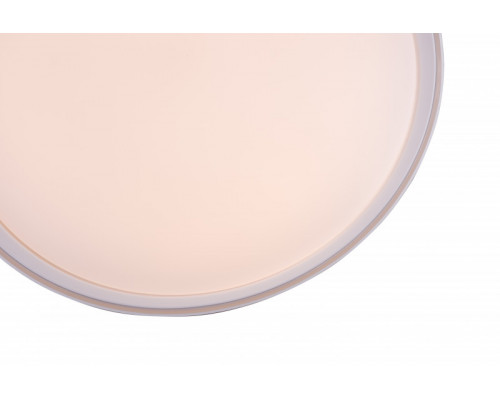 Оформить заказ Накладной светильник Denkirs DK6510-WH| VIVID-LIGHT.RU