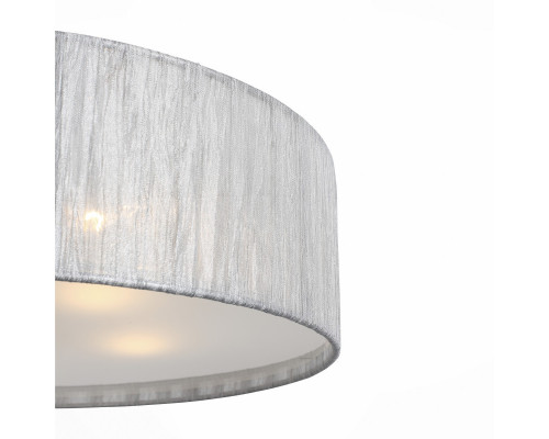 Сделать заказ Накладной светильник ST-Luce SL357.102.05| VIVID-LIGHT.RU