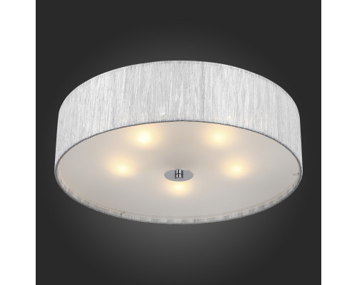 Сделать заказ Накладной светильник ST-Luce SL357.102.05| VIVID-LIGHT.RU