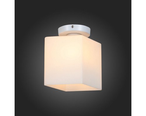 Оформить заказ Накладной светильник ST-Luce SL548.501.01| VIVID-LIGHT.RU