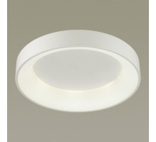 Накладной светильник Odeon Light 4062/50CL