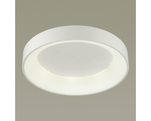 Заказать Накладной светильник Odeon Light 4062/50CL| VIVID-LIGHT.RU