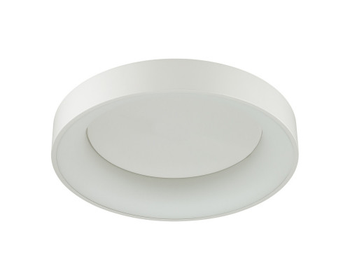 Оформить заказ Накладной светильник Odeon Light 4062/50CL| VIVID-LIGHT.RU