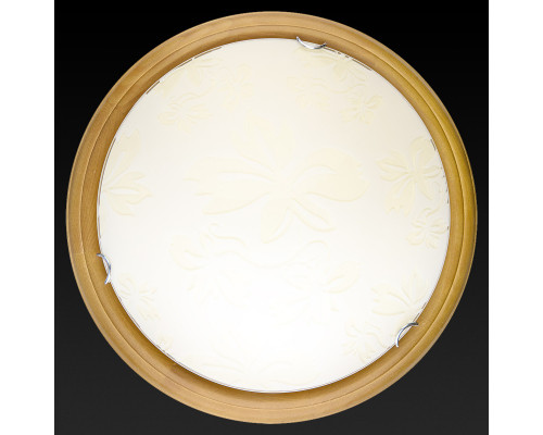 Купить Накладной светильник TOPLIGHT TL9640Y-00OA| VIVID-LIGHT.RU