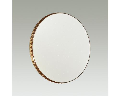 Заказать Накладной светильник Sonex 2078/DL| VIVID-LIGHT.RU