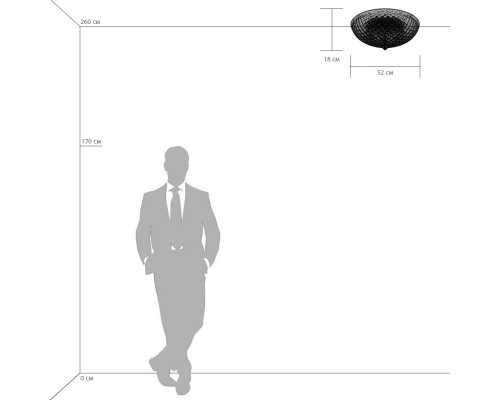 Оформить заказ Накладной светильник Lightstar 602070| VIVID-LIGHT.RU