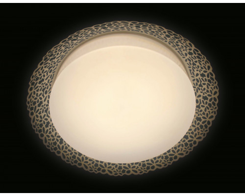 Заказать Накладной светильник Ambrella Light F119 WH 72W D520| VIVID-LIGHT.RU