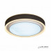 Заказать Накладной светильник iLedex B6233-91W/520 WH| VIVID-LIGHT.RU
