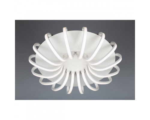 Заказать Накладной светильник Omnilux OML-48107-112| VIVID-LIGHT.RU