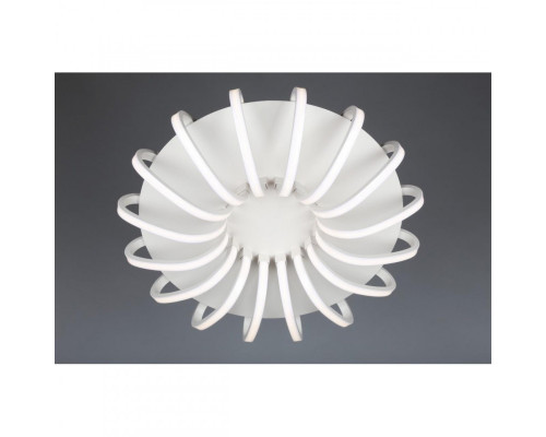 Заказать Накладной светильник Omnilux OML-48107-112| VIVID-LIGHT.RU