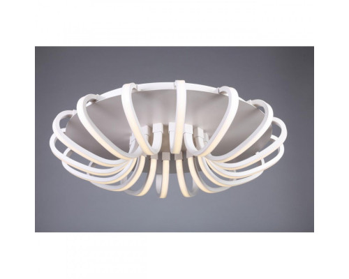 Заказать Накладной светильник Omnilux OML-48107-112| VIVID-LIGHT.RU