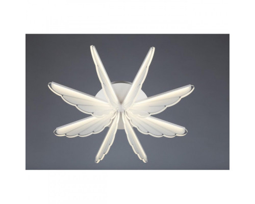 Оформить заказ Накладной светильник Omnilux OML-48207-80| VIVID-LIGHT.RU