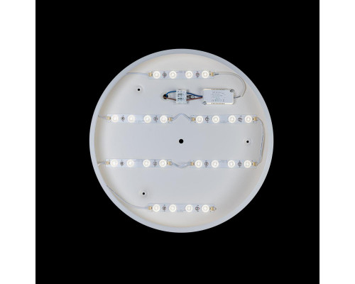 Сделать заказ Накладной светильник LOFT IT 10003/24 White| VIVID-LIGHT.RU