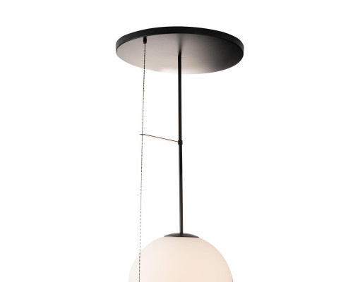 Оформить заказ Накладной светильник LOFT IT 10029PM Black| VIVID-LIGHT.RU